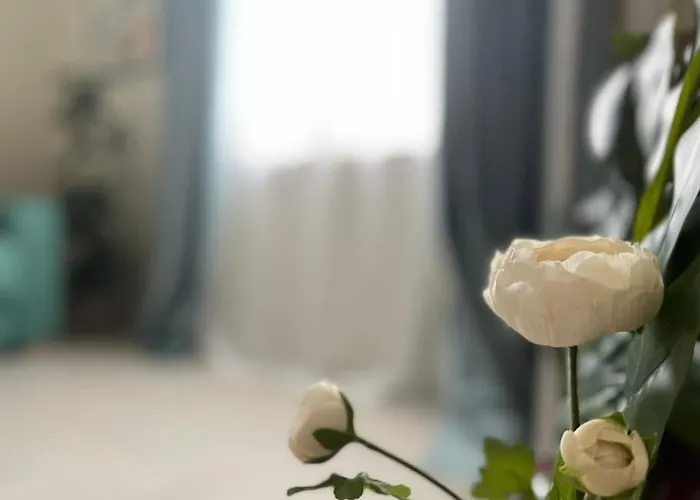 アパート Homingpisa - Gemini One *